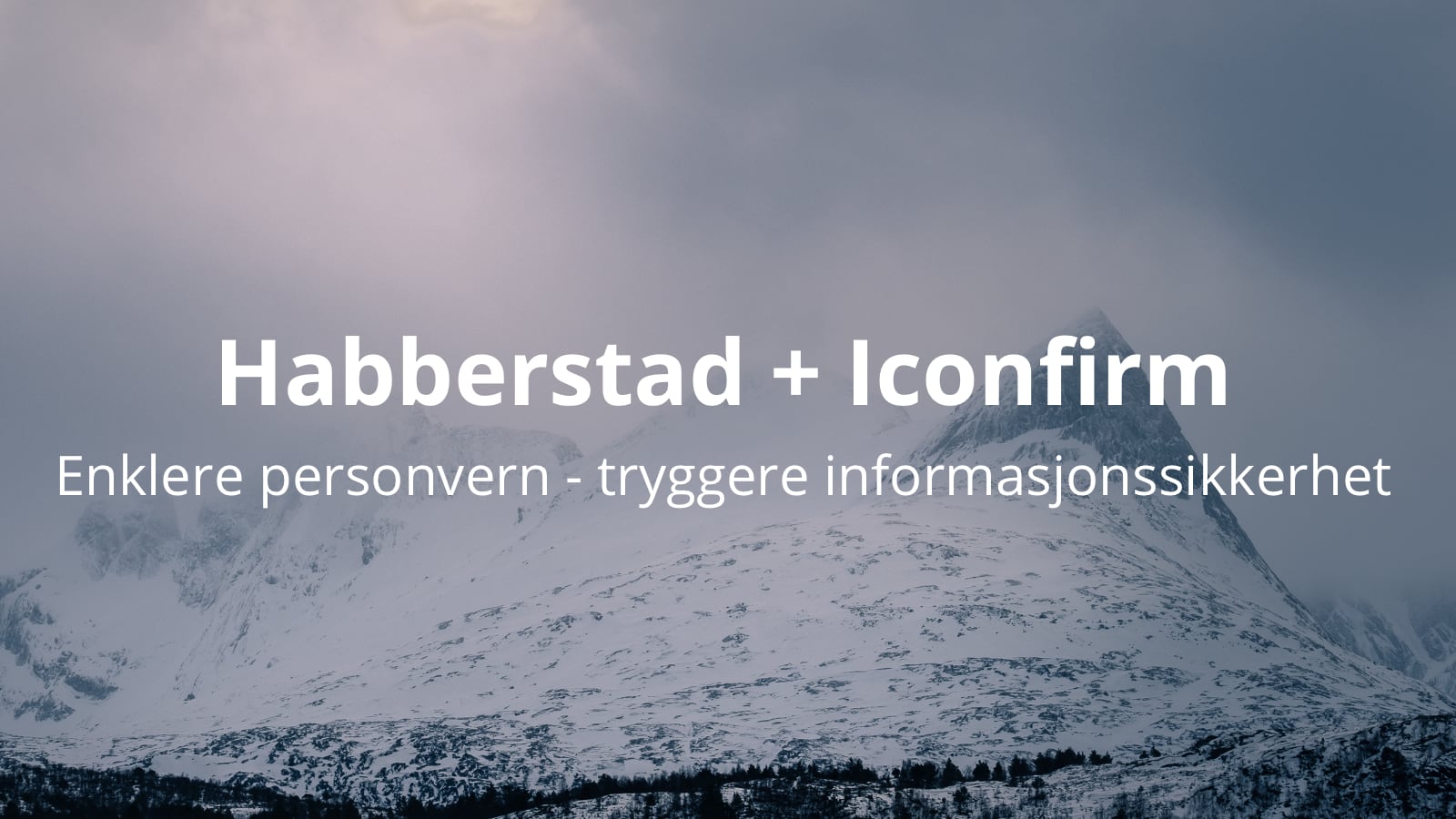 Habberstad og Iconfirm inngår samarbeid